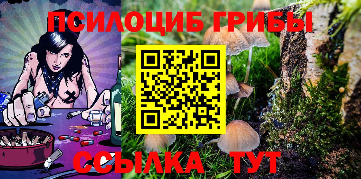 Псилоцибиновые грибы MAGIC MUSHROOMS  цены   Тюмень  Галлюциногенные грибы Psilocybe  Вход с VPN 