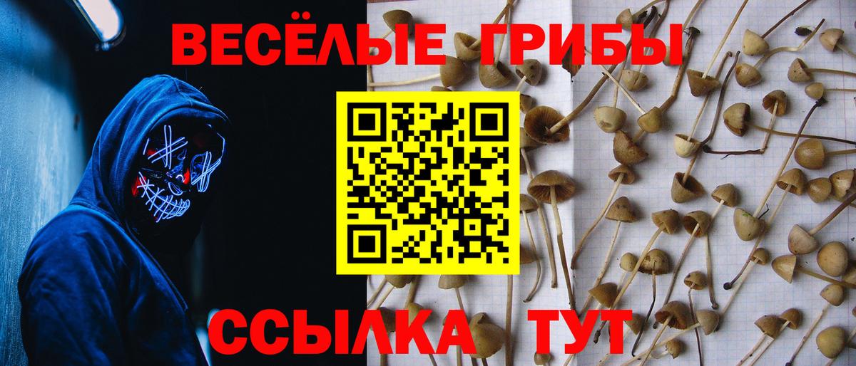 Псилоцибиновые грибы мухоморы Тюмень